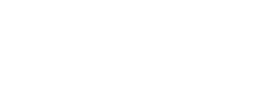 Logo Footer